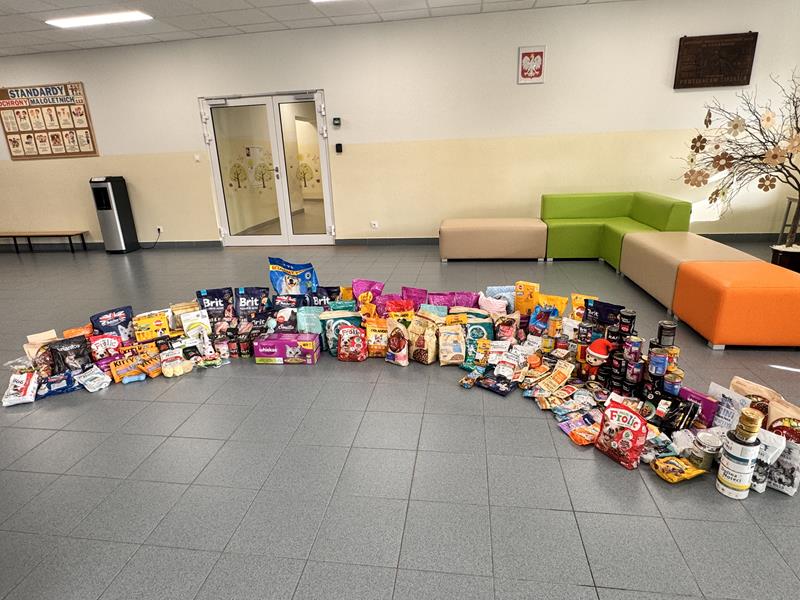 zbiórka na schronisko (1)