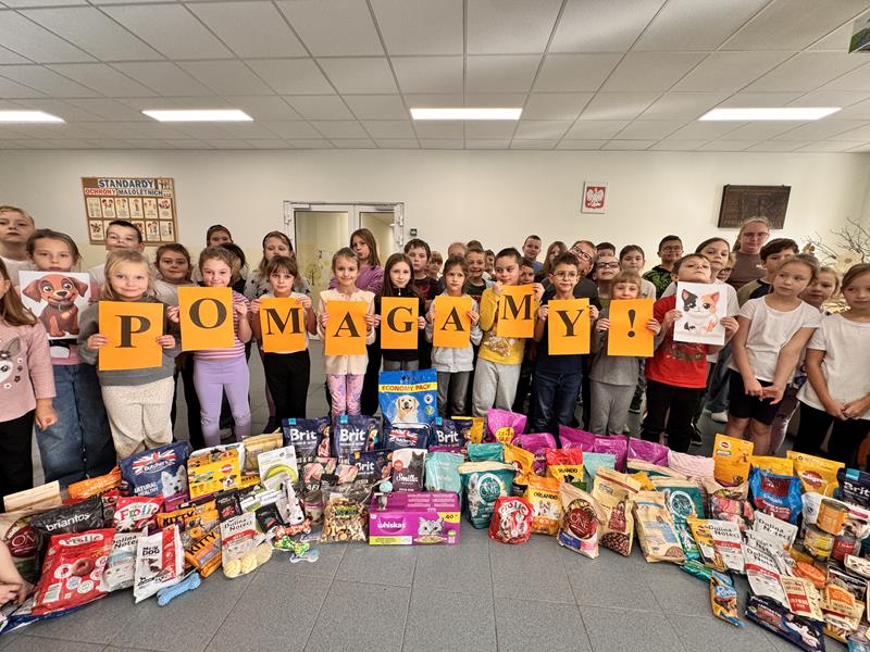 zbiórka na schronisko (4)