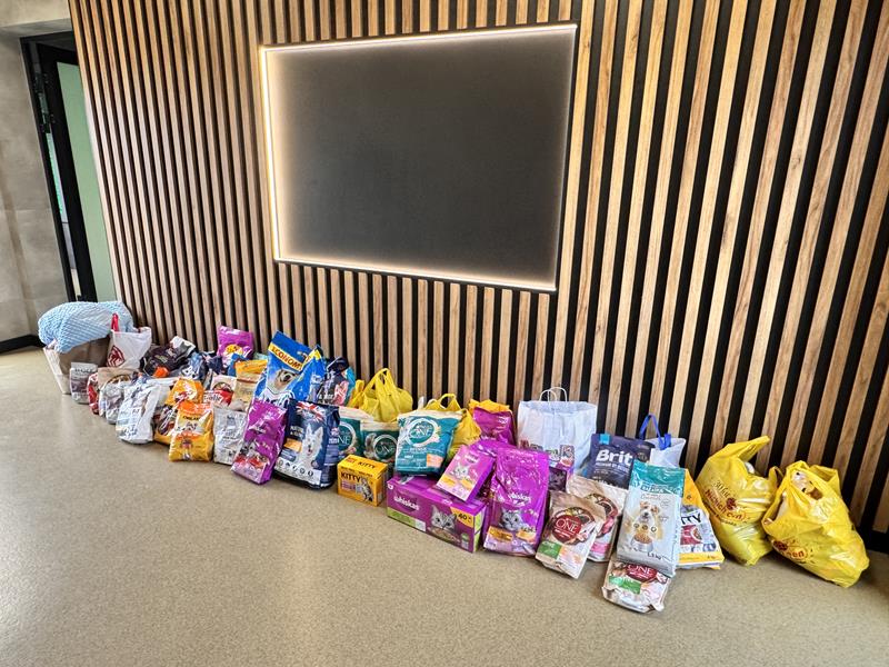 zbiórka na schronisko (7)