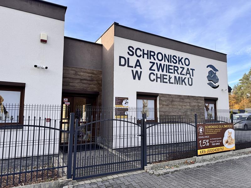 zbiórka na schronisko (8)