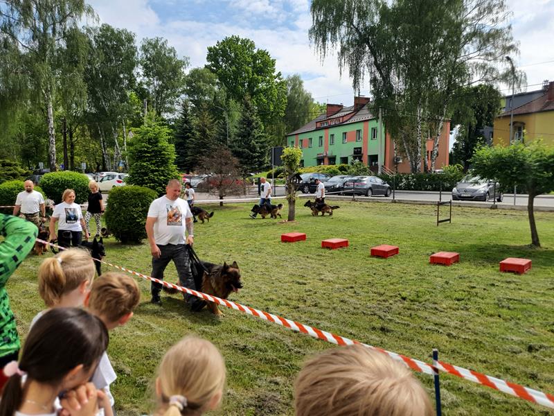 pokaz szkolenia psów (12)