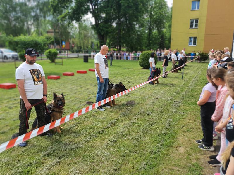 pokaz szkolenia psów (14)