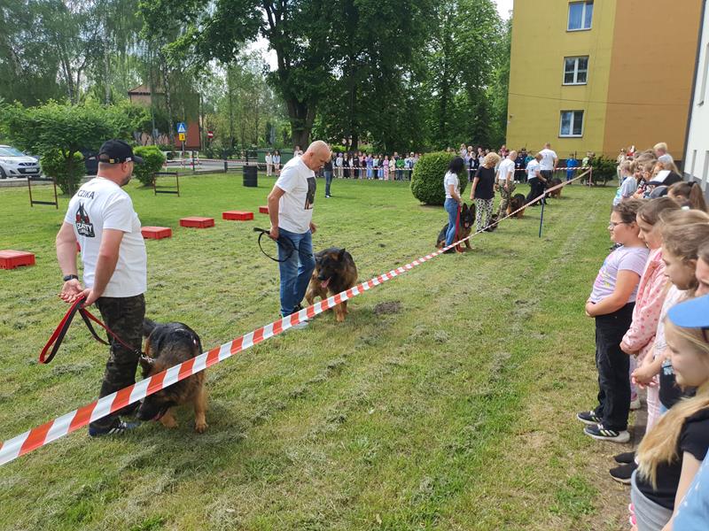 pokaz szkolenia psów (15)