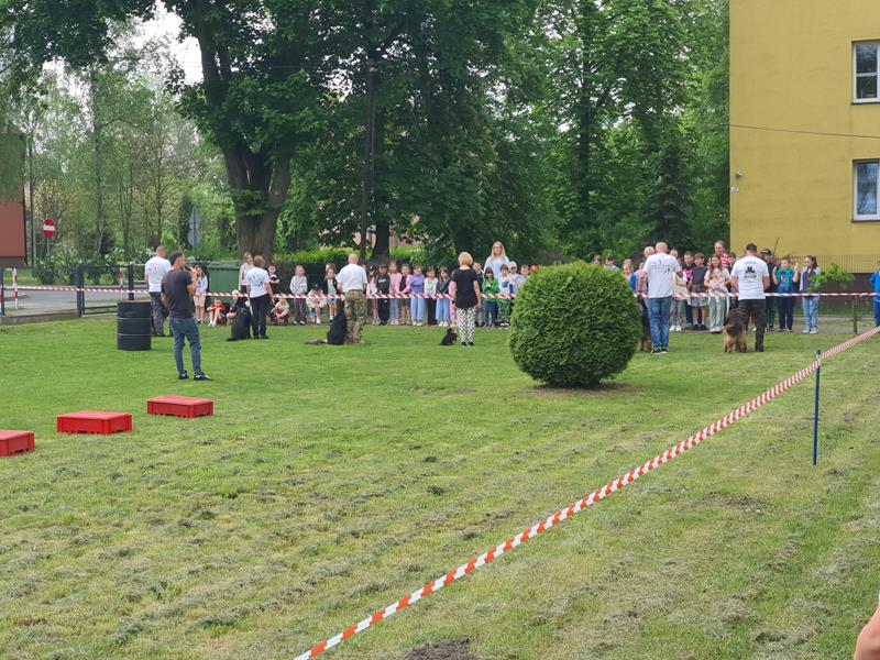 pokaz szkolenia psów (16)