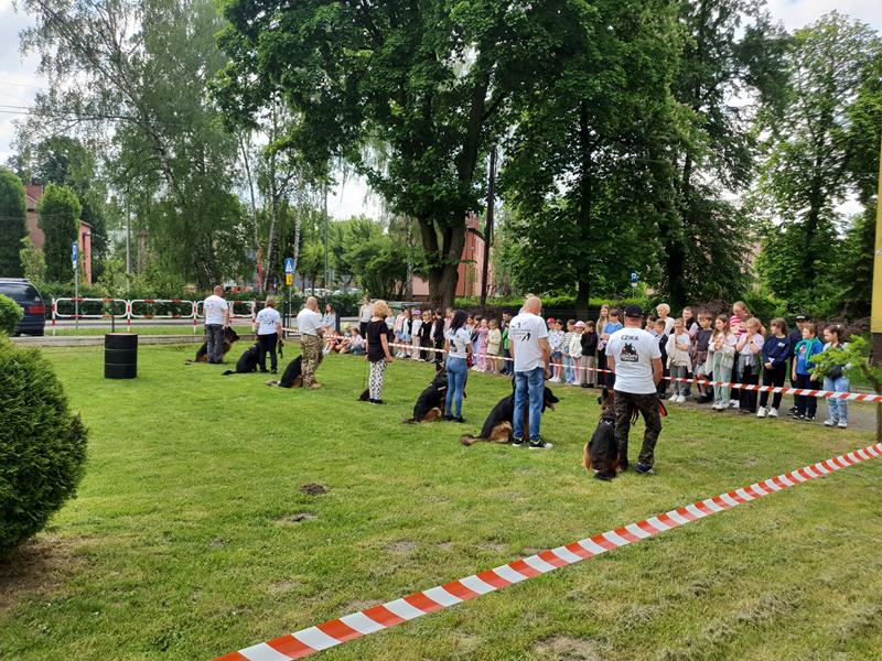 pokaz szkolenia psów (17)