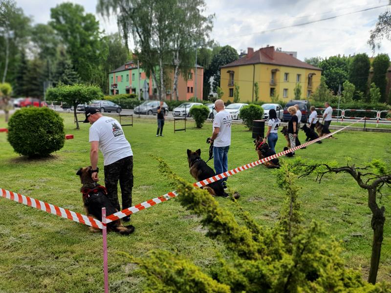 pokaz szkolenia psów (18)