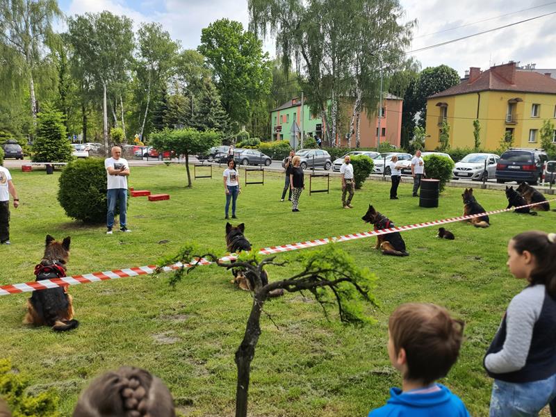 pokaz szkolenia psów (21)