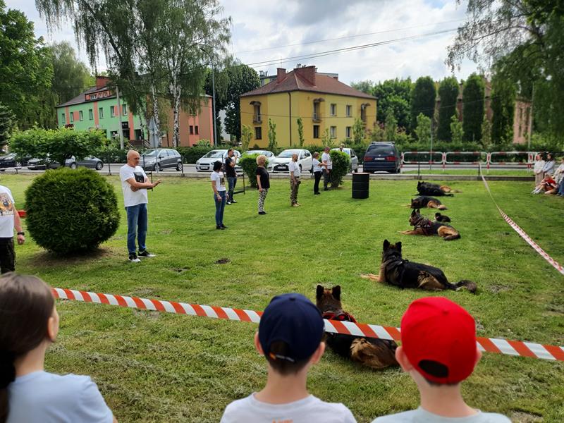 pokaz szkolenia psów (22)