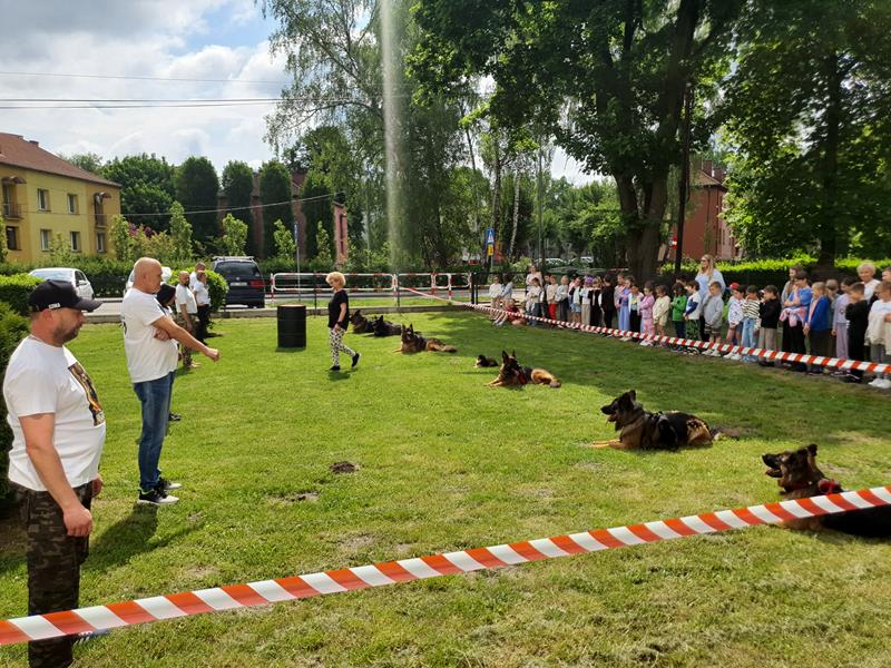 pokaz szkolenia psów (23)