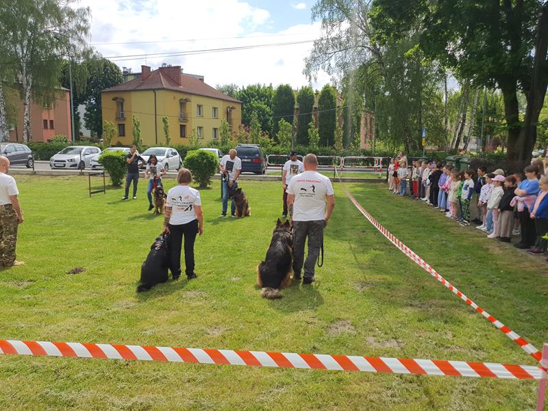 pokaz szkolenia psów (3)