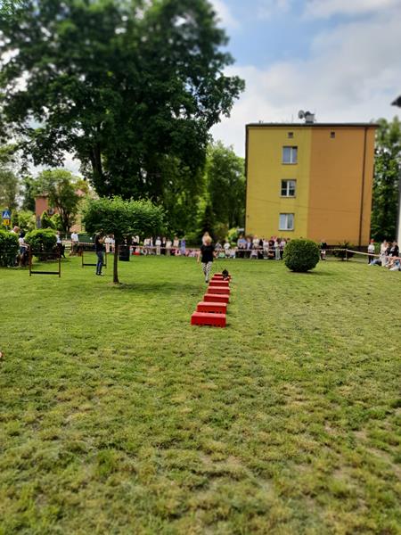 pokaz szkolenia psów (35)