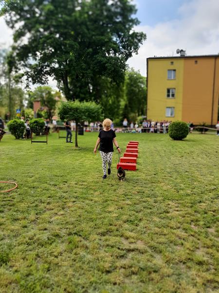 pokaz szkolenia psów (37)