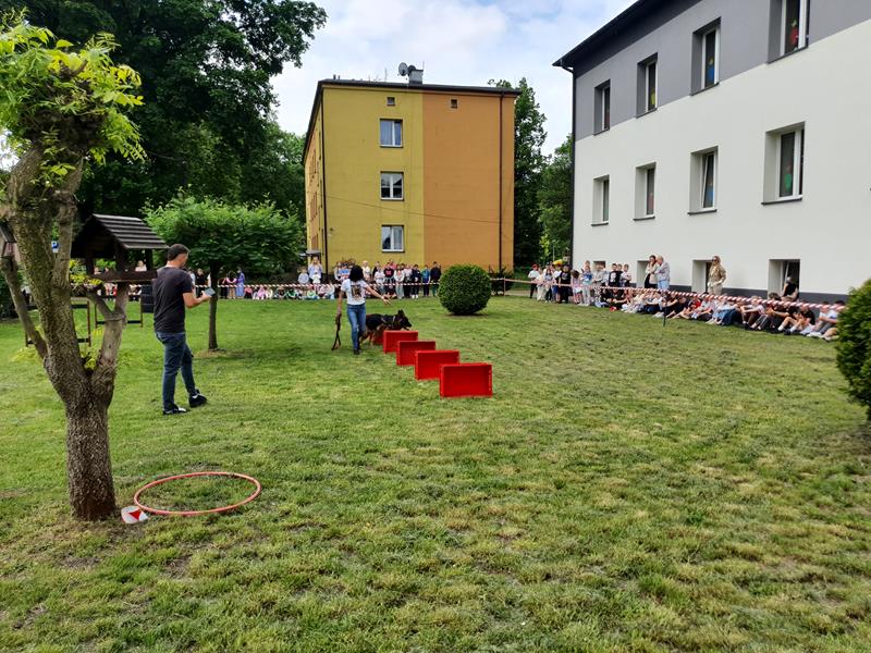 pokaz szkolenia psów (39)
