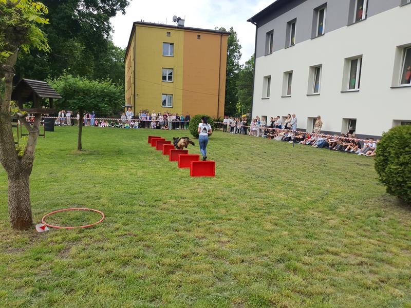 pokaz szkolenia psów (44)