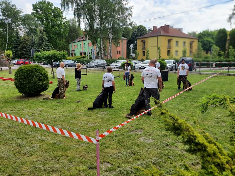 pokaz szkolenia psów (5)