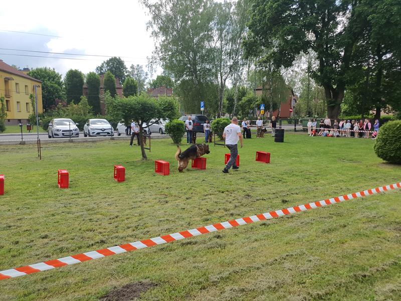 pokaz szkolenia psów (54)