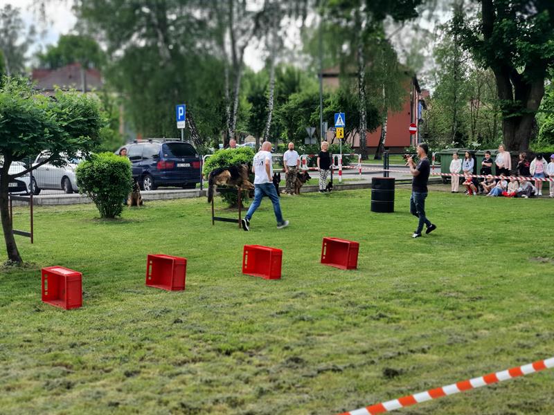 pokaz szkolenia psów (61)