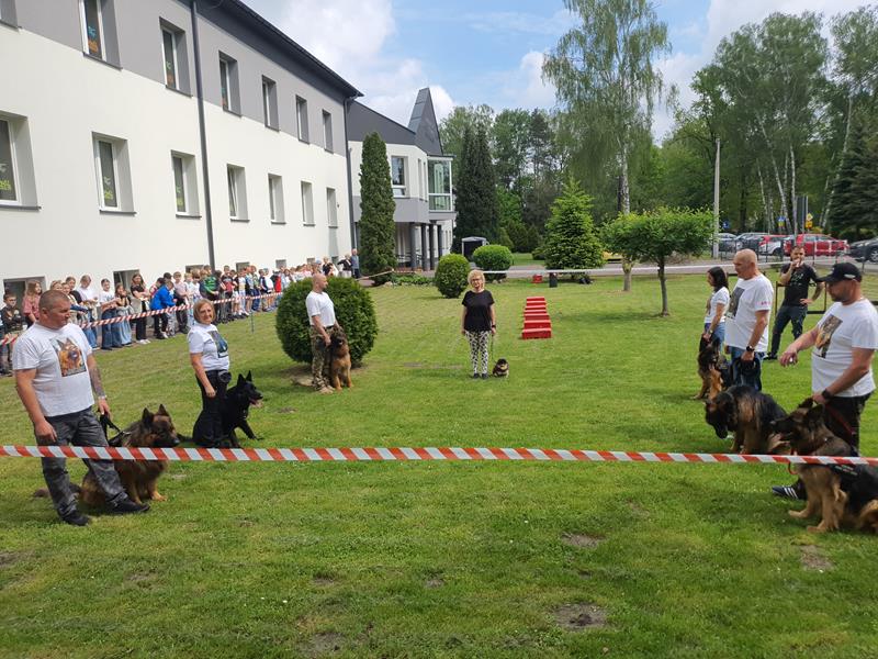 pokaz szkolenia psów (7)
