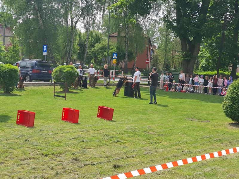 pokaz szkolenia psów (70)