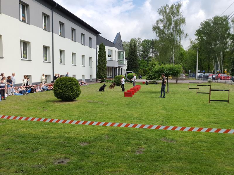 pokaz szkolenia psów (80)