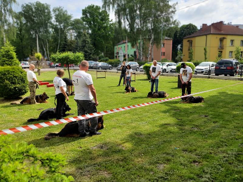 pokaz szkolenia psów (9)