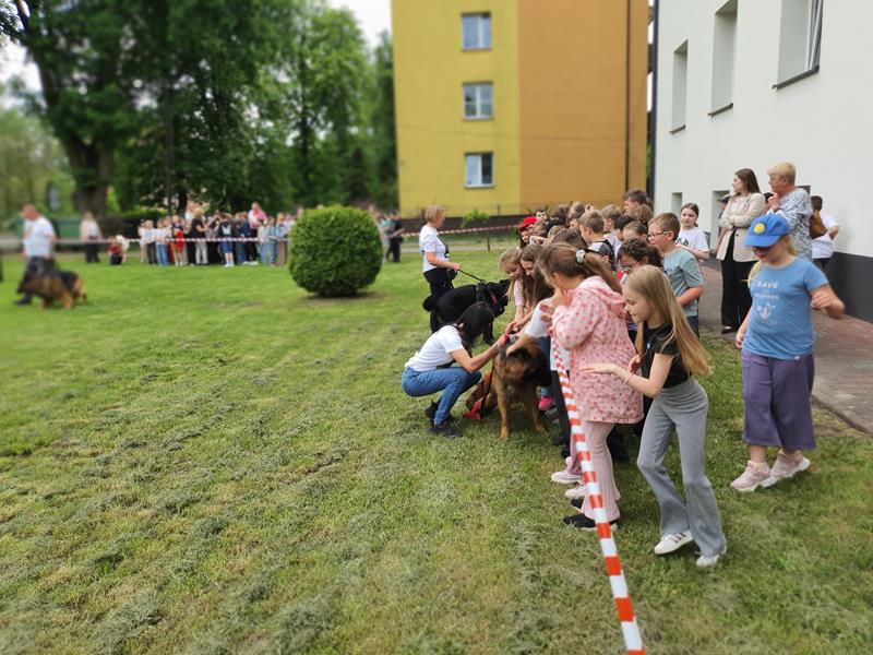 pokaz szkolenia psów (96)