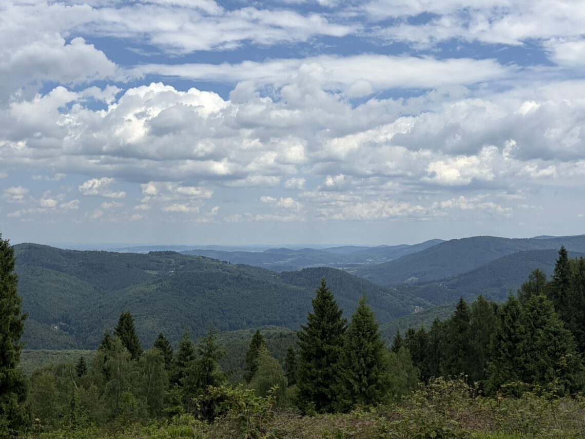 IMG_0271